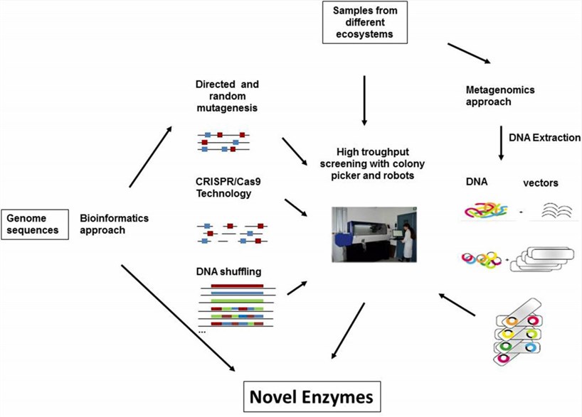 Main Strategies for Novel Enzymes Discovery