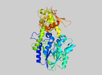 Structure of AMPase.