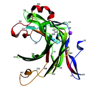 Protein structure of agarase.