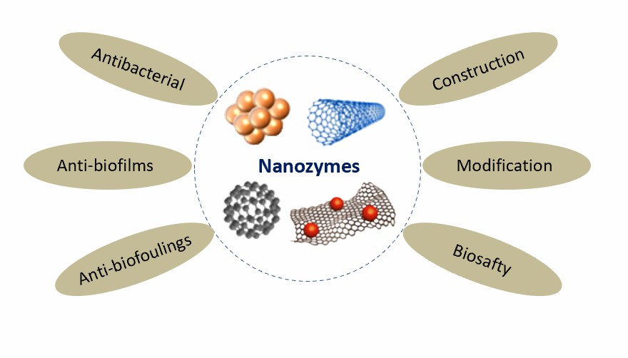 The use of nanozymes in antibacterial applications. - Creative Enzymes