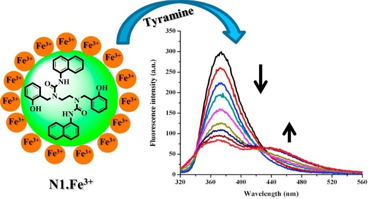 Fe-based nanozymes are efficiently synthesized for food quality determination.