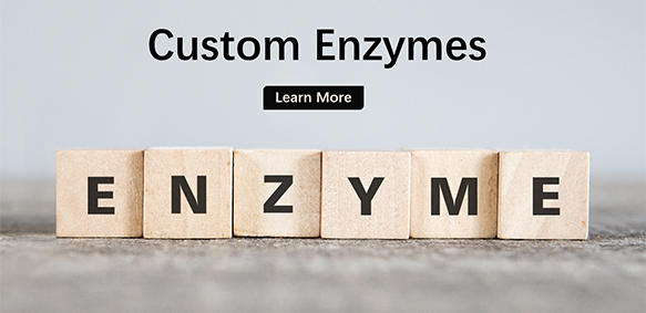 Custom Enzymes