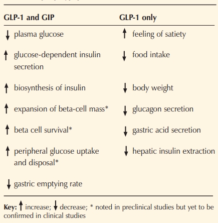 Key actions of the incretin hormones GLP-1 (glucagon-like peptide-1) and GIP