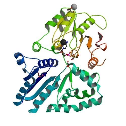 Figure: The crystal structure of beta-galactoside alpha-2,3-ialyltransferase from a luminous marine bacterium, Photobacterium phosphoreum.
