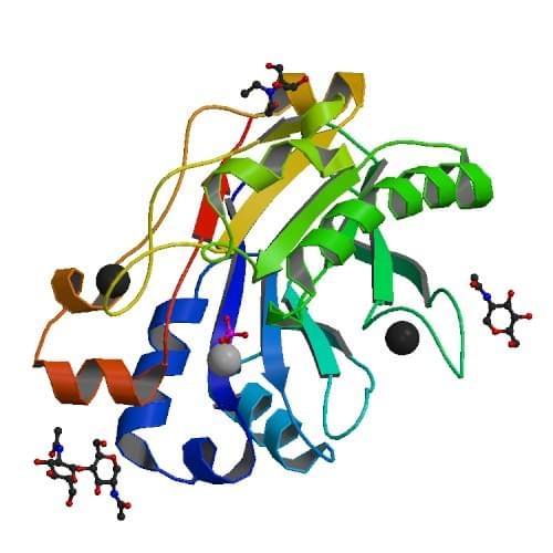 Figure: The crystal structure of recombinant human DNase I (rhDNaseI) in complex with magnesium and phosphate.