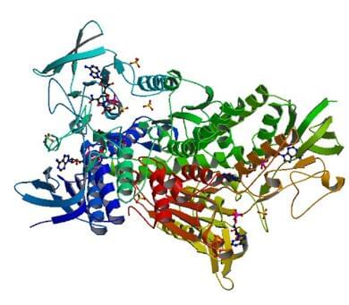  The crystal structure of human dihydrolipoyl dehydrogenase complexed to NAD+.