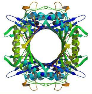 The crystal structure of factor-independent urate hydroxylase from Aspergillus flavus.
