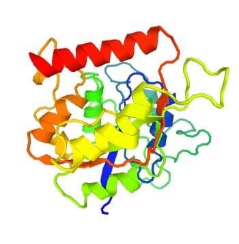 Figure: The crystal structure of human hyaluronan synthase 2.