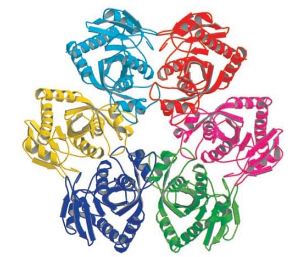 Figure： The crystal structure of the E. coli purine-nucleoside phosphorylase hexamer.