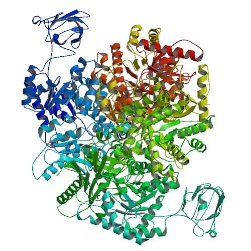 Figure: The crystal structure of human M2 pyruvate kinase.