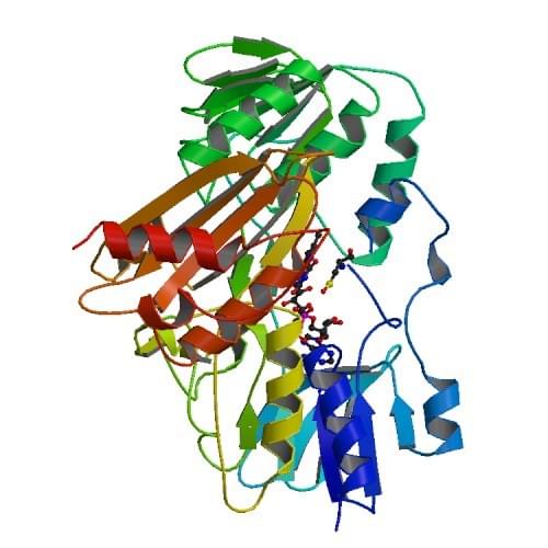 The crystal structure of NADH peroxidase with cysteine-sulfenic acid.