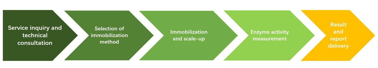 Enzyme Immobilization workflow