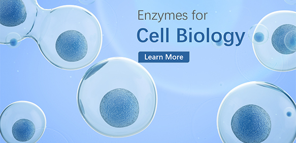 Enzymes for Cell Biology