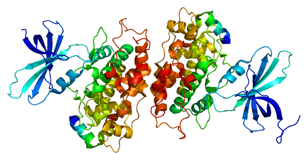 Structure of GSK-3