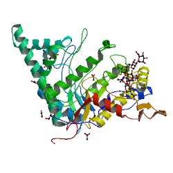 Protein structure of hyaluronic acid synthase.