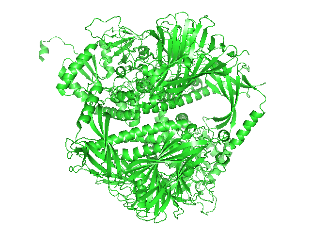 Protein structure of invertase.