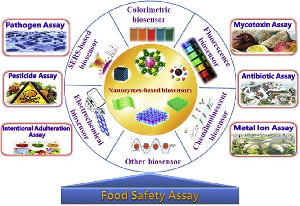 Construction of nanozyme-based biosensors and their applications in the food safety assay.