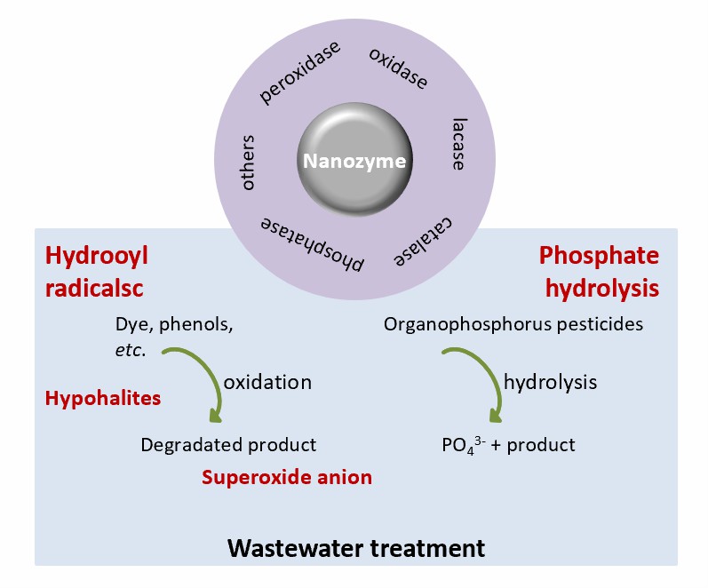 Wastewater treatment based on nanozymes