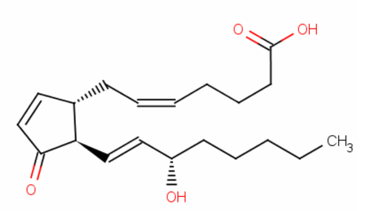 Chemical structure of prostaglandins