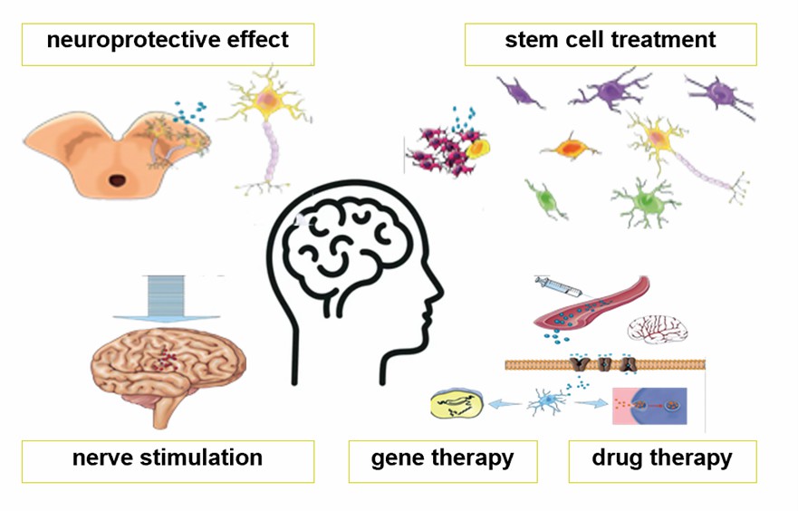 Directions of research in nanotechnology for the treatment of Parkinson's disease. - Creative Enzymes