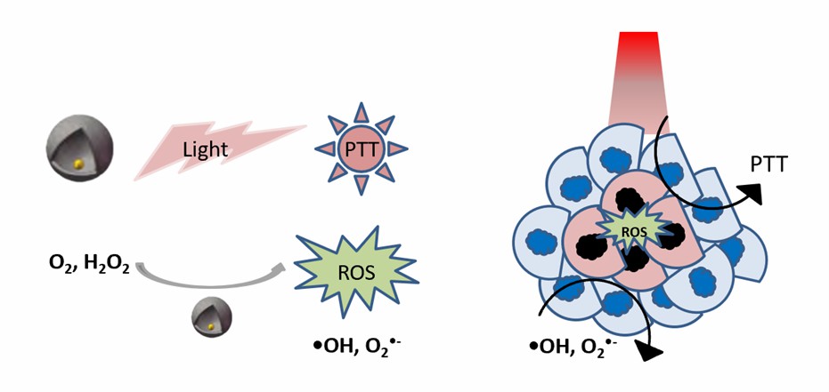 Grapheme-hemein-glucose oxidase nanozymes for biomimetic generation of HNO. - Creative Enzymes