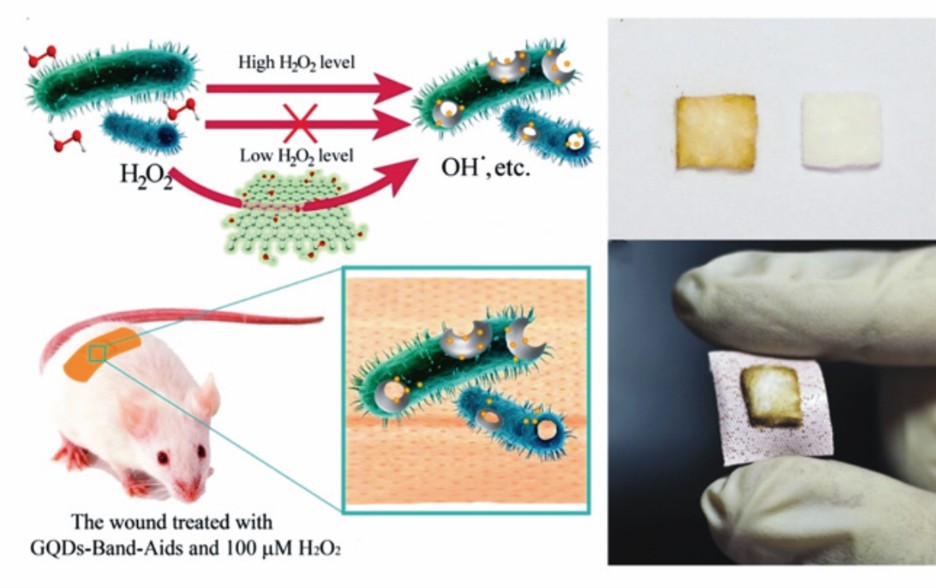 Nanozyme band-aid for wound disinfection.