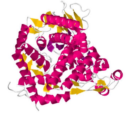 Structure of trehalase