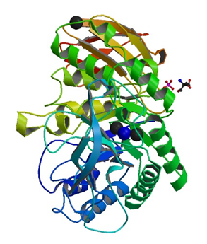 The crystal structure of glucan 1,4-alpha-maltohexaosidase from alkalophilic Bacillus sp.707