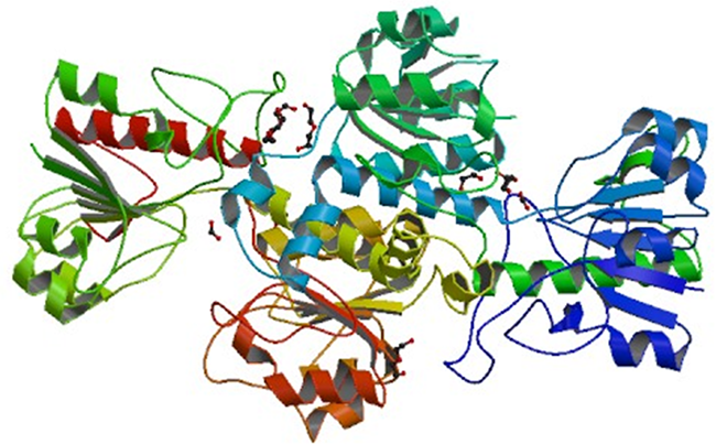 Enzyme Activity Measurement for Formate Dehydrogenase (NAD+)