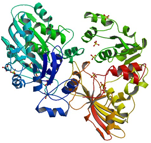 Enzyme Activity Measurement for Glyceraldehyde-3-Phosphate Dehydrogenase (Phosphorylating)