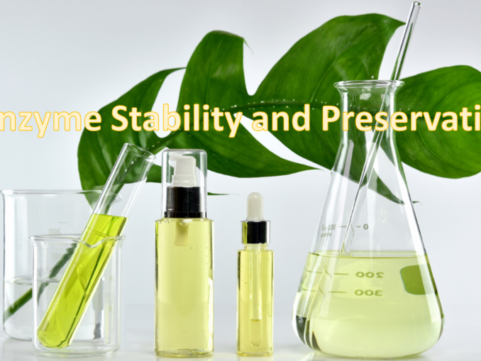 Enzyme Formulation Creative Enzymes Blog