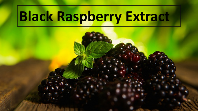 Black-Raspberry-1