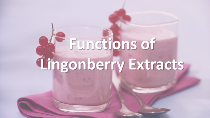 Lingonberry-Extracts-1