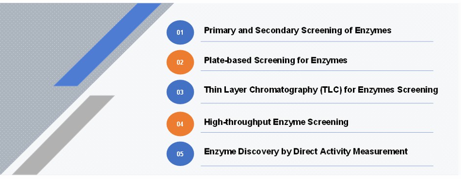 Enzyme Screening from Natural Sources - Creative Enzymes