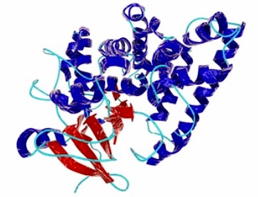 1-2-2-enzyme-biosynthesis-1