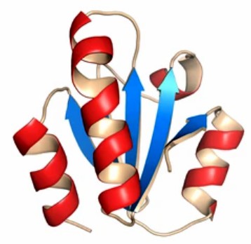 1-3-2-enzyme-disulfide-bond-analysis-1