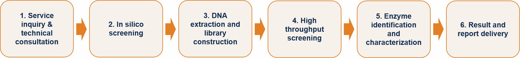 Enzyme Discovery Workflow