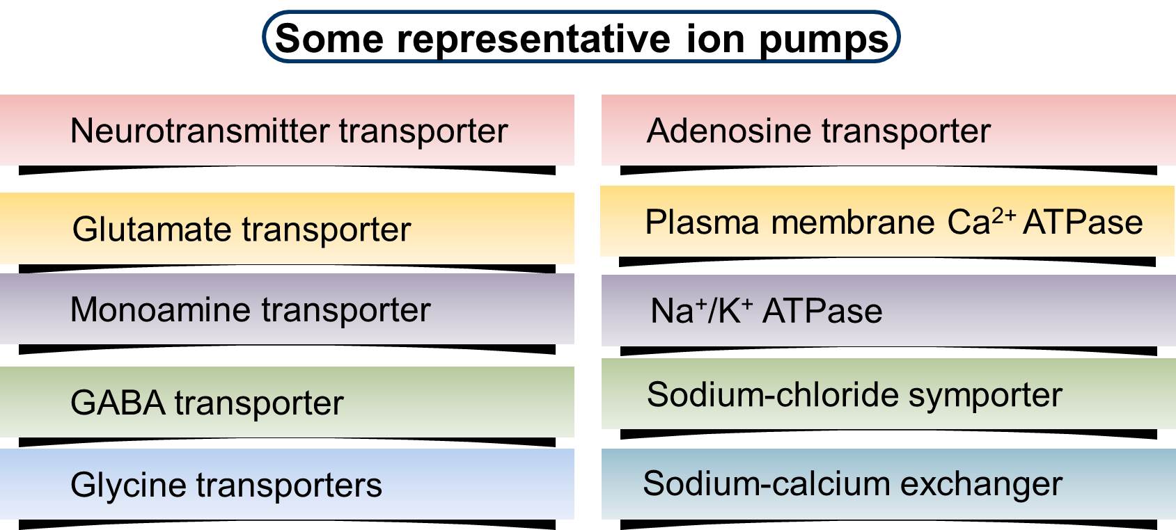 Ion Pumps