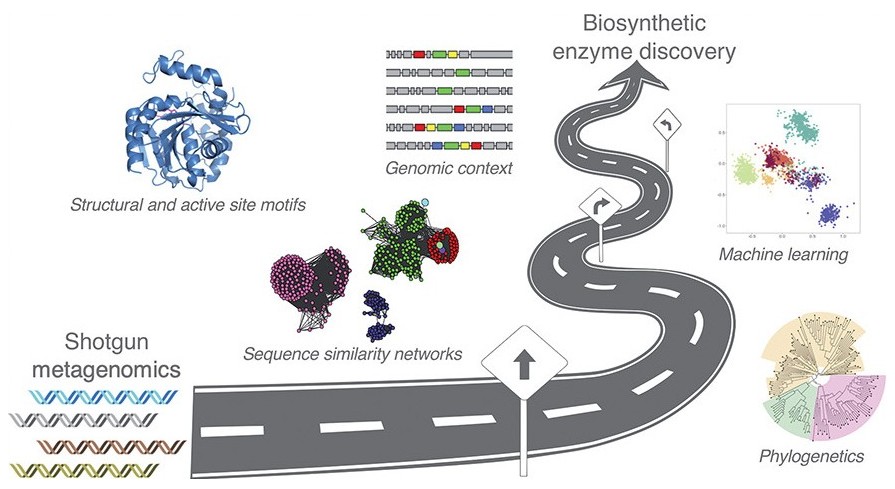 Roadmap for metagenomic enzyme discovery