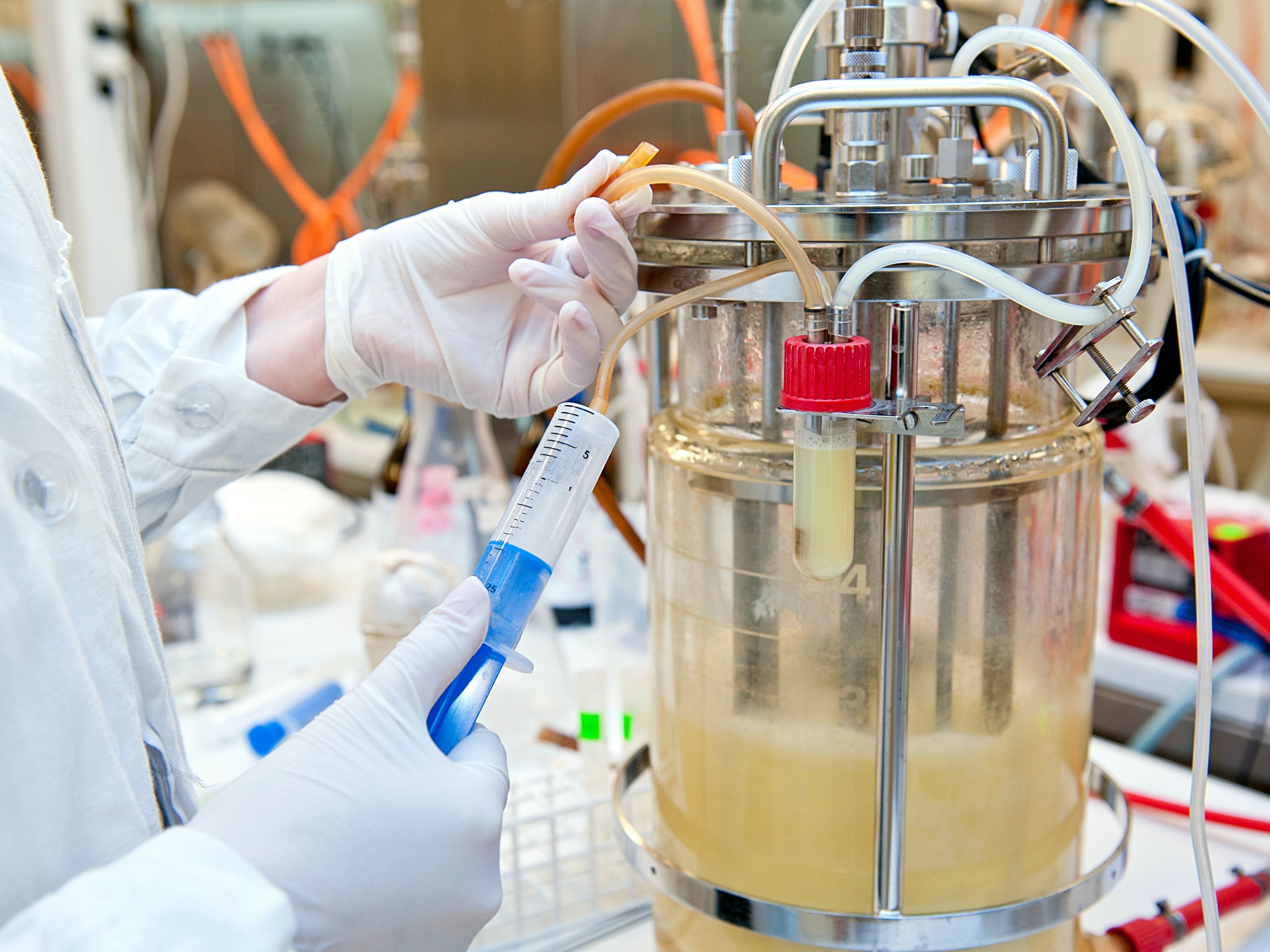 Trial Fermentation & Sampling