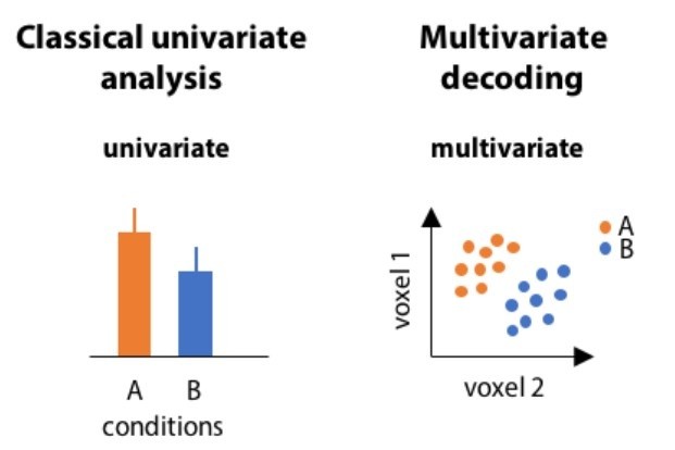 Univariate and multivariate analysis