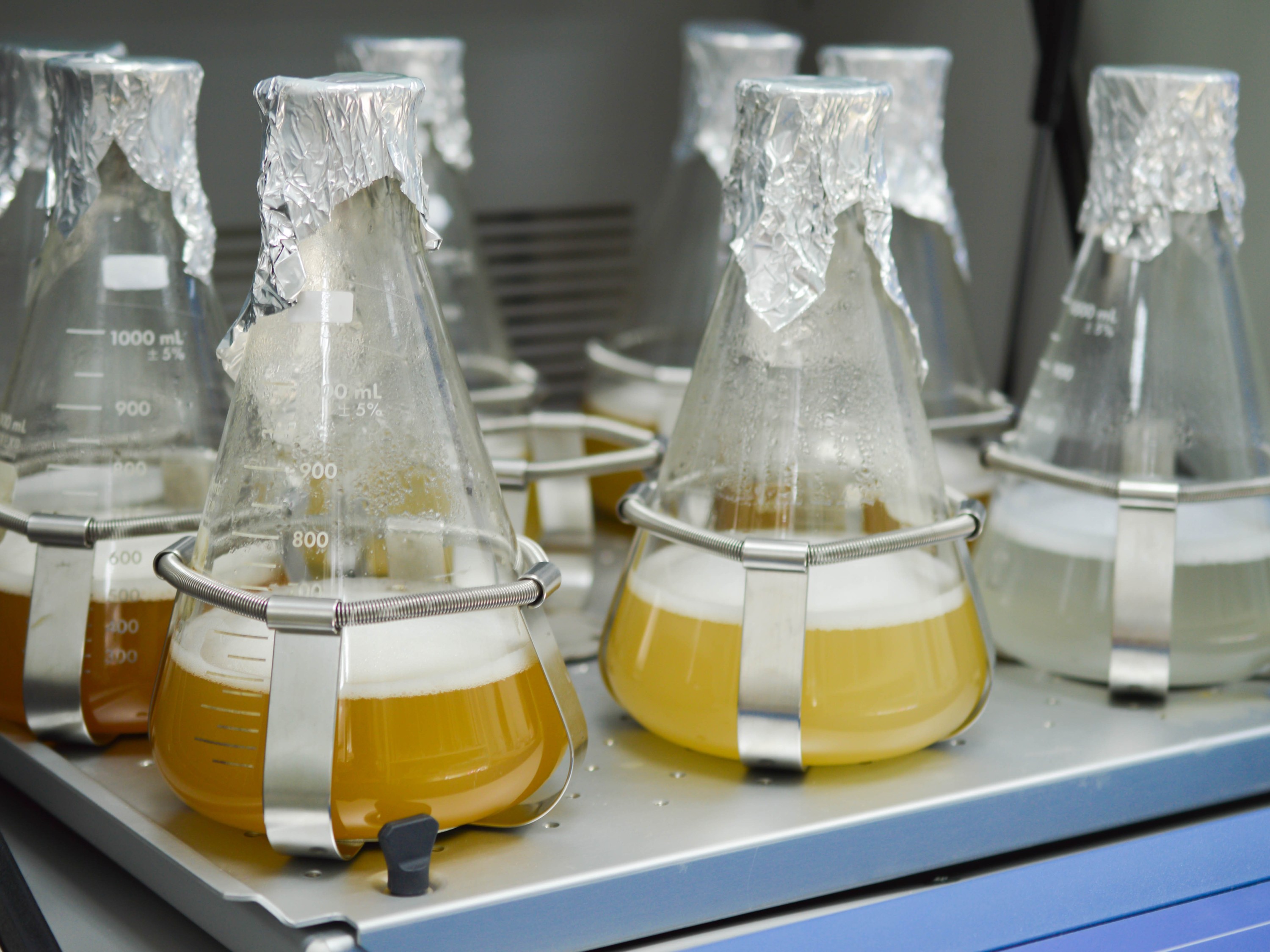Laboratory-Scale Fermentation Development