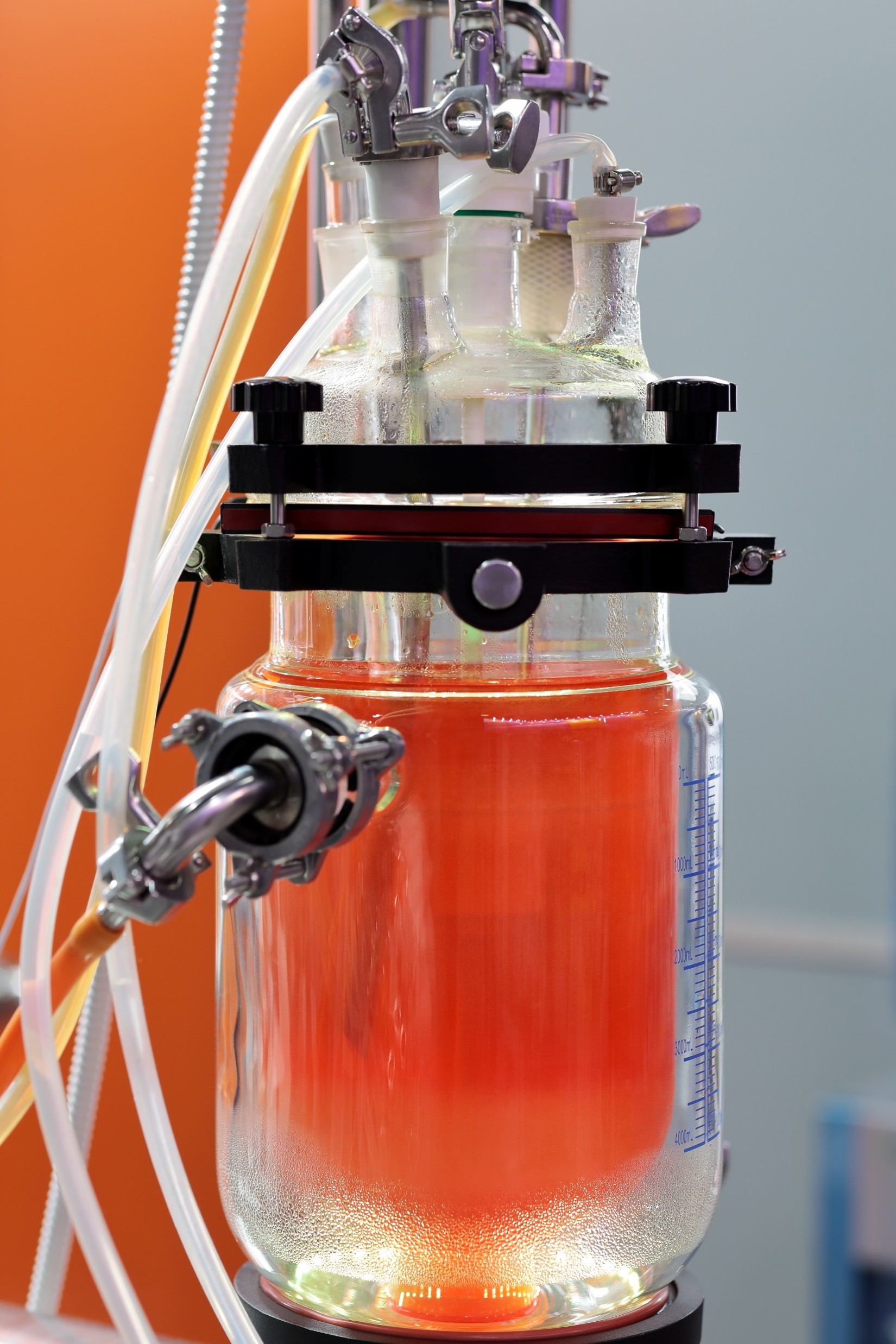 Enzyme Recovery Process Development