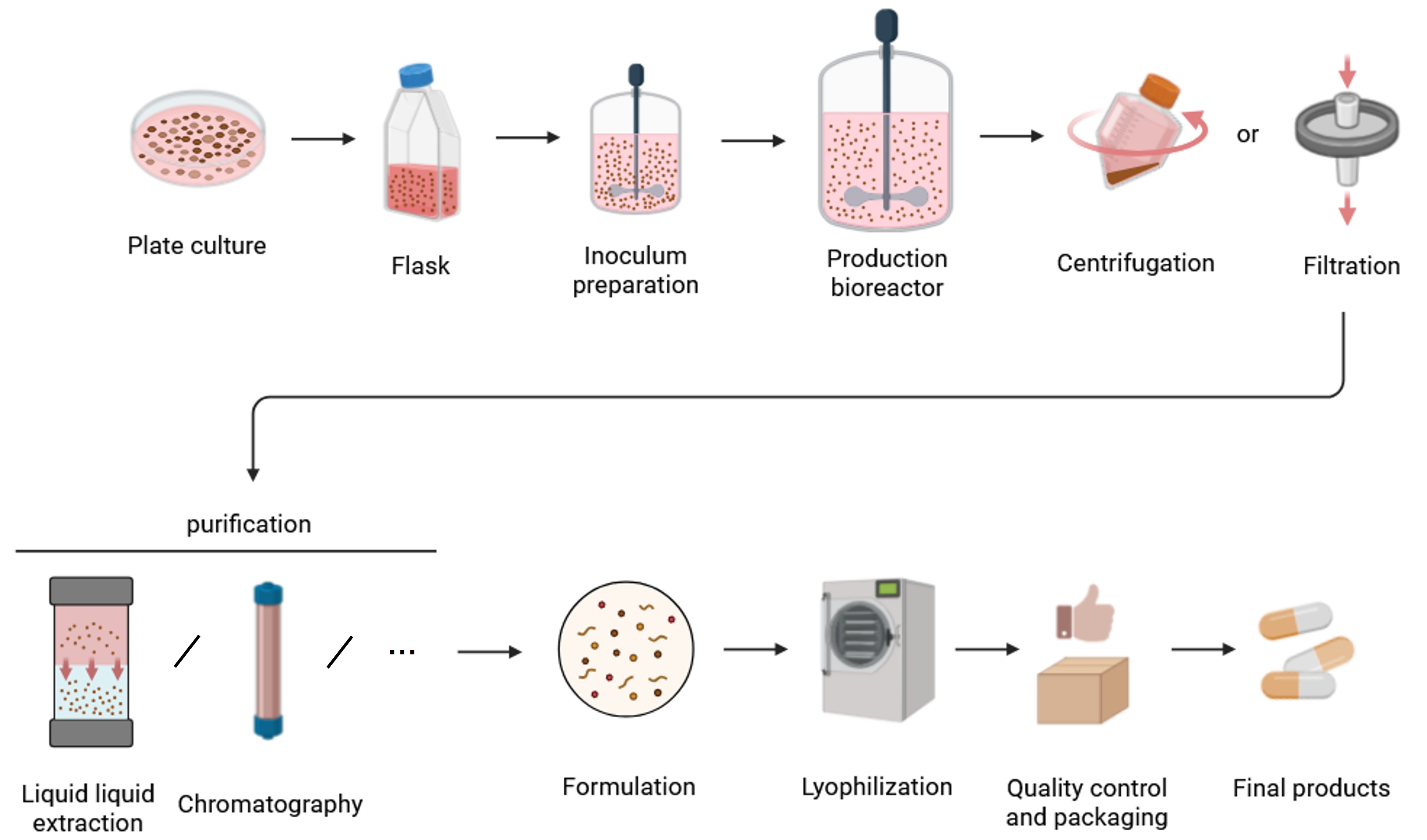 Enzyme production expertise