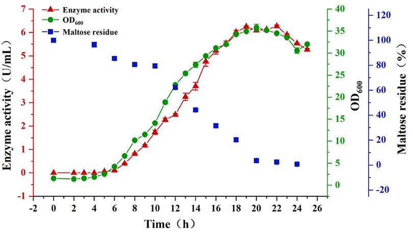 Maltose residue, OD600 and CDase enzyme activity in batch fermentation