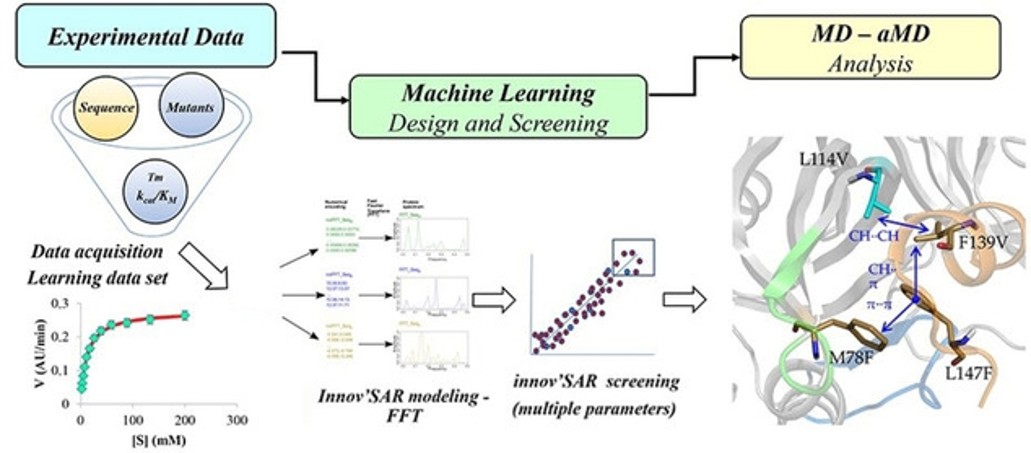 Machine learning enables selection of epistatic enzyme mutants for stability against unfolding and detrimental aggregation