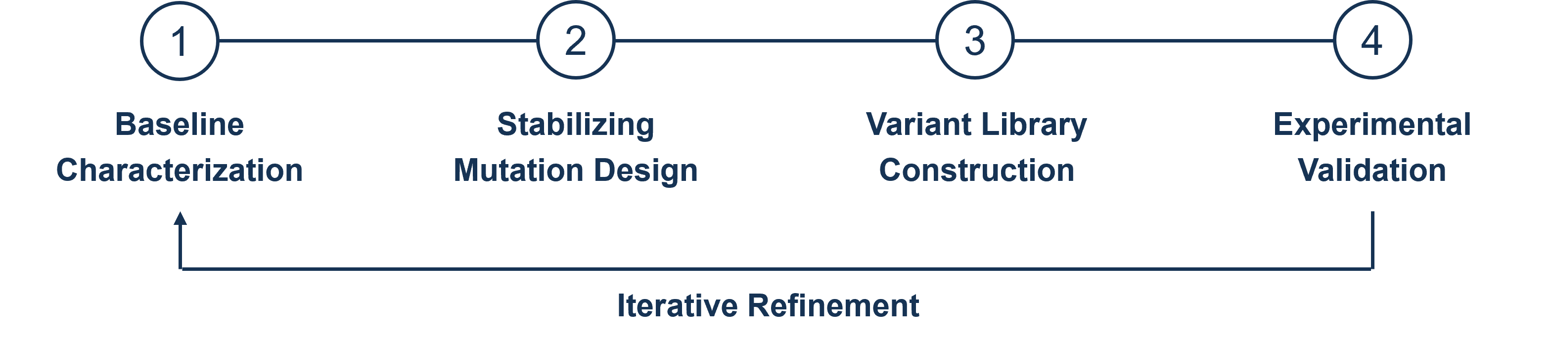 AI-Guided Stability & Developability Optimization Workflow