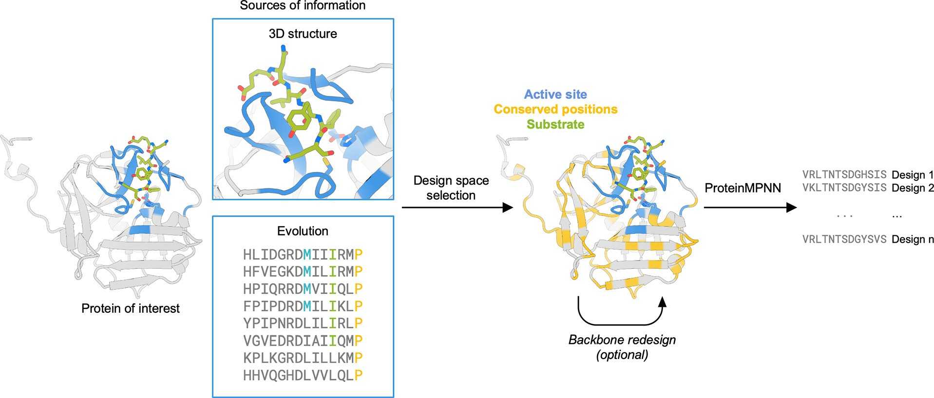 Design strategy for the optimization of protein expression and stability using ProteinMPNN
