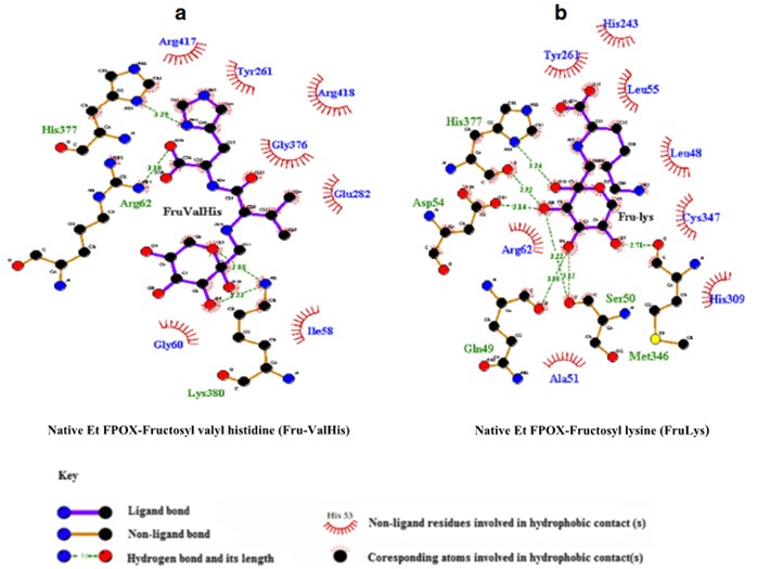 Thermostable Lipase Engineering via ML-Directed Evolution