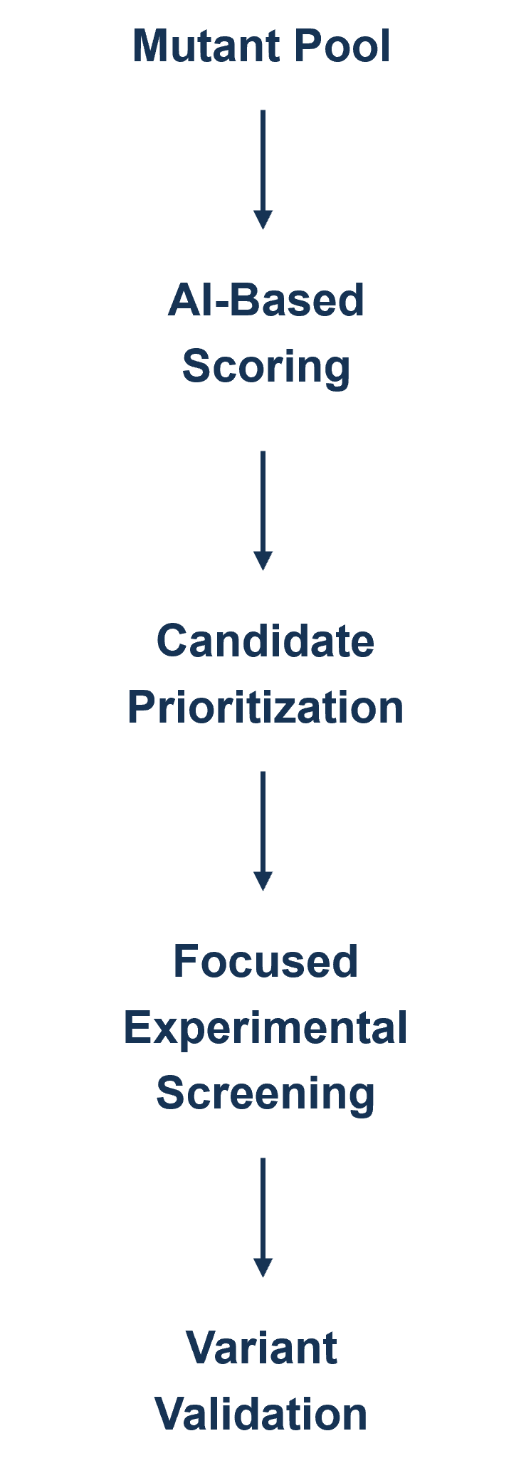 Integrated Screening Workflow